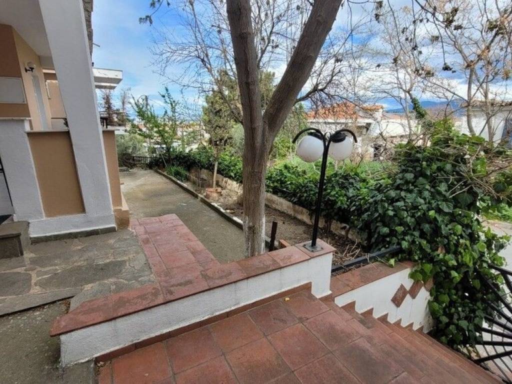 Apartment - Grekodom 65795|1057433