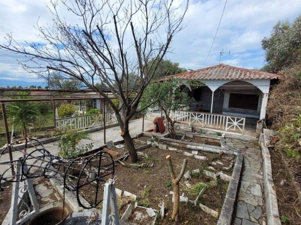 Detached - Grekodom 65796|1057469