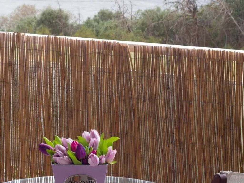 Maisonette - Grekodom 65797|1057514