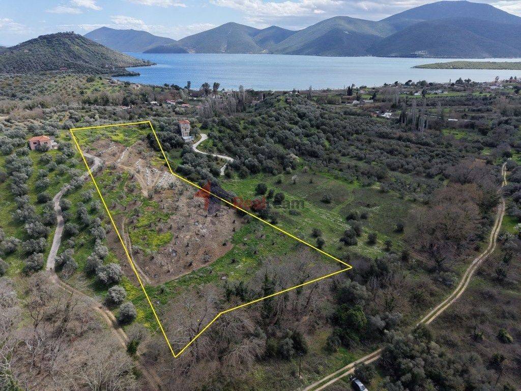 Εξωτερικοι χώροι