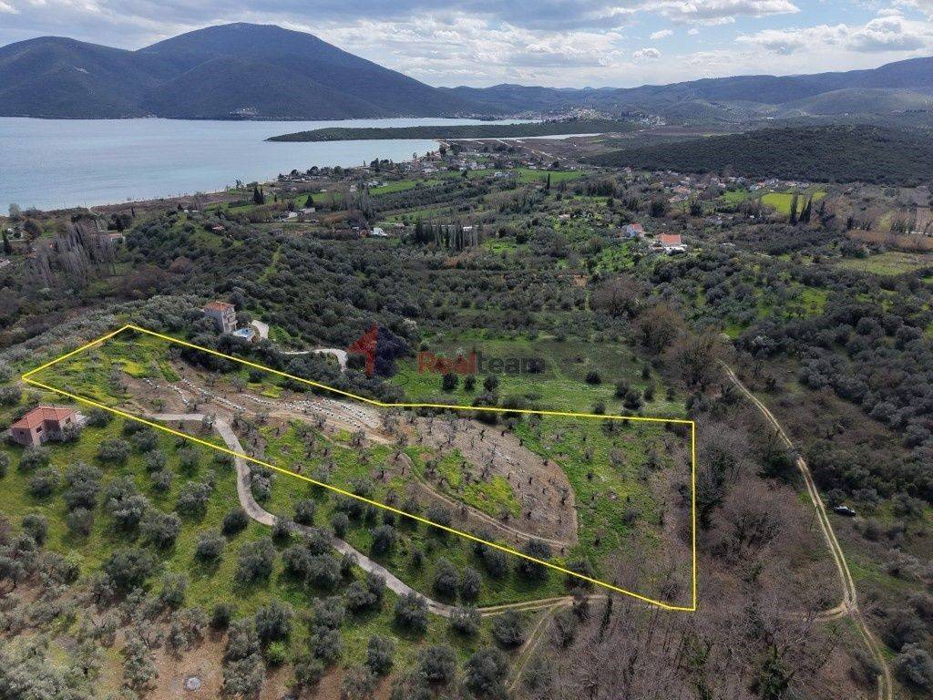 Εξωτερικοι χώροι