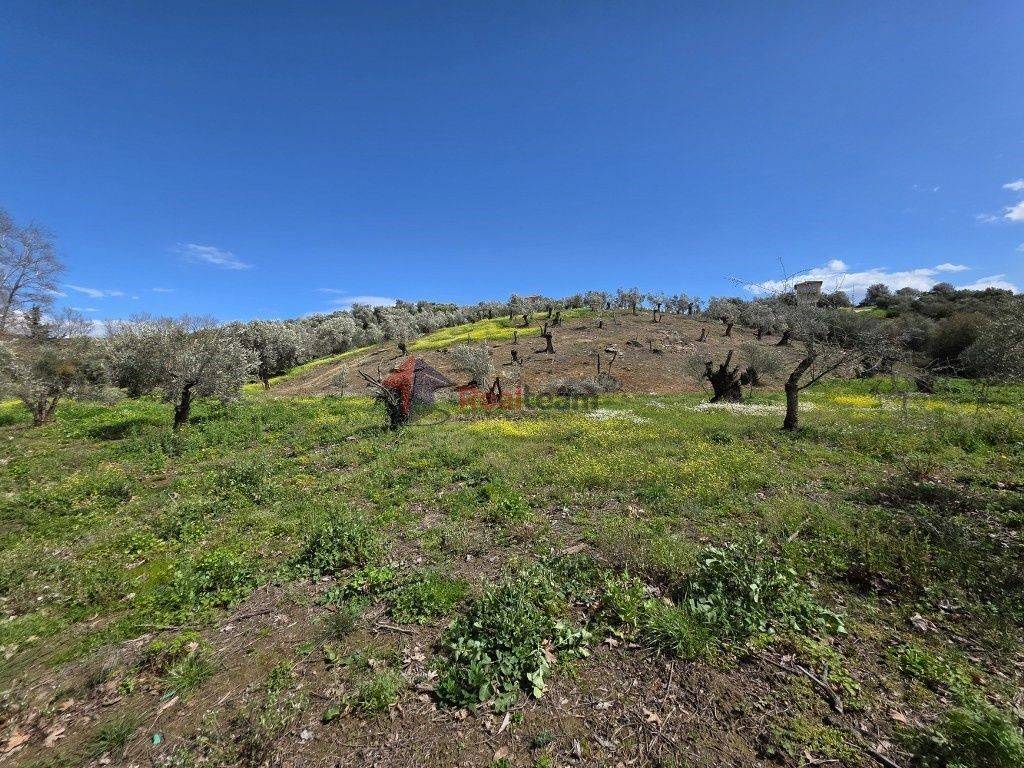 Εξωτερικοι χώροι