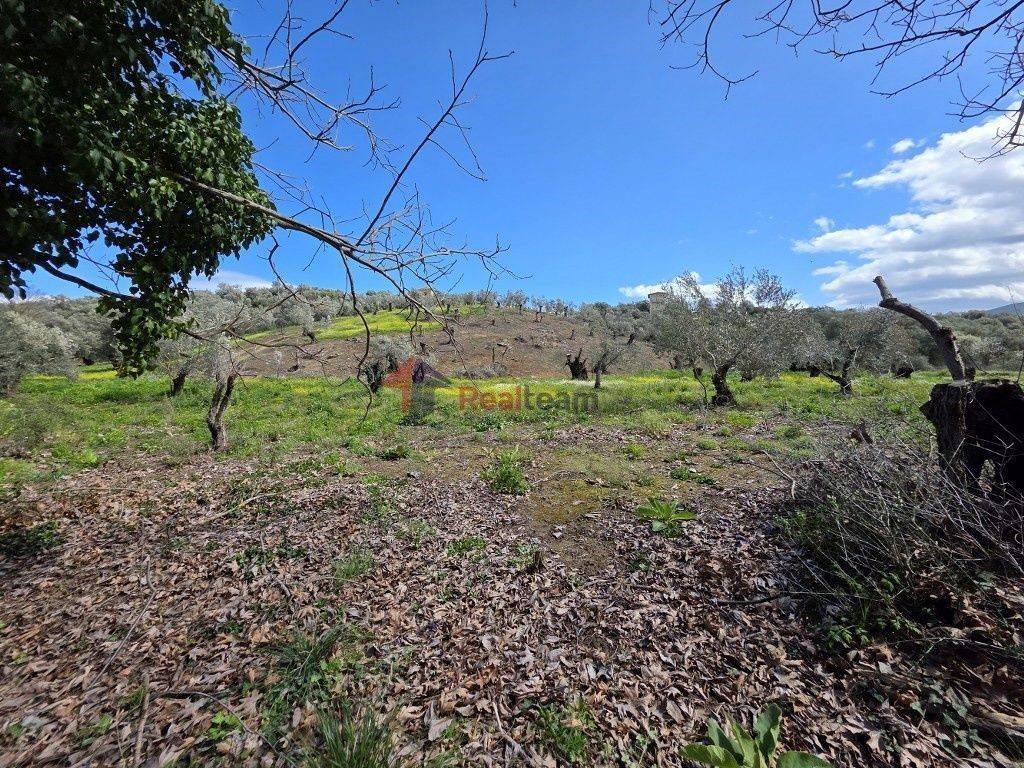 Εξωτερικοι χώροι