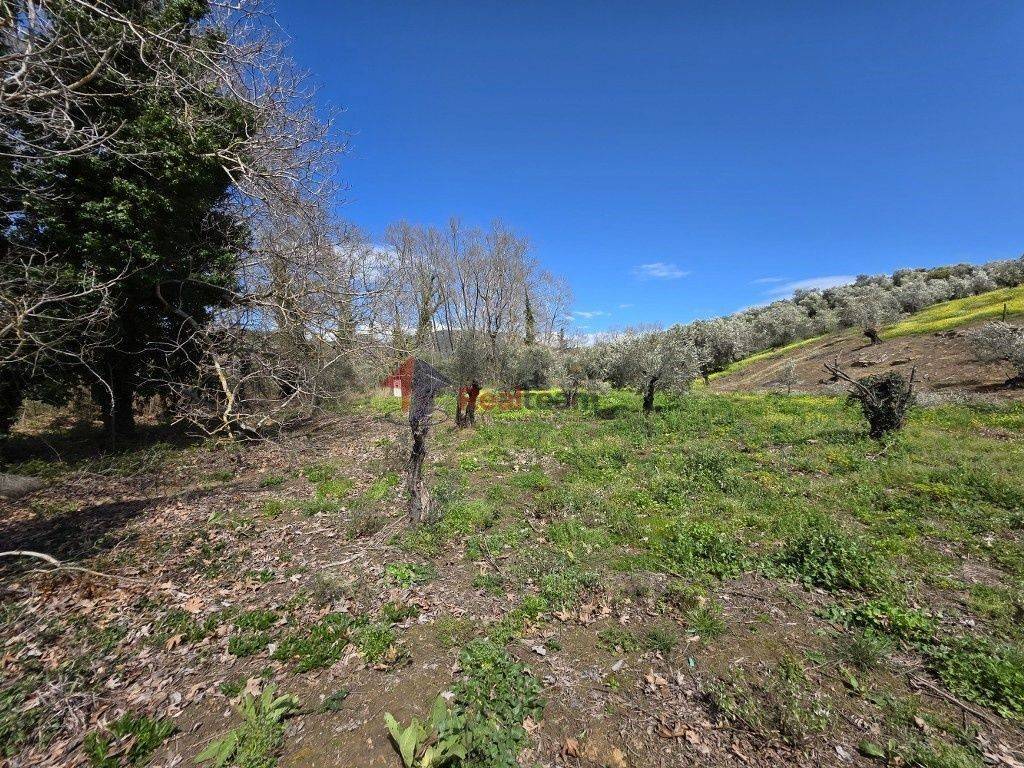 Εξωτερικοι χώροι