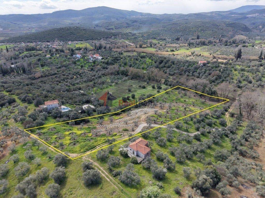 Εξωτερικοι χώροι