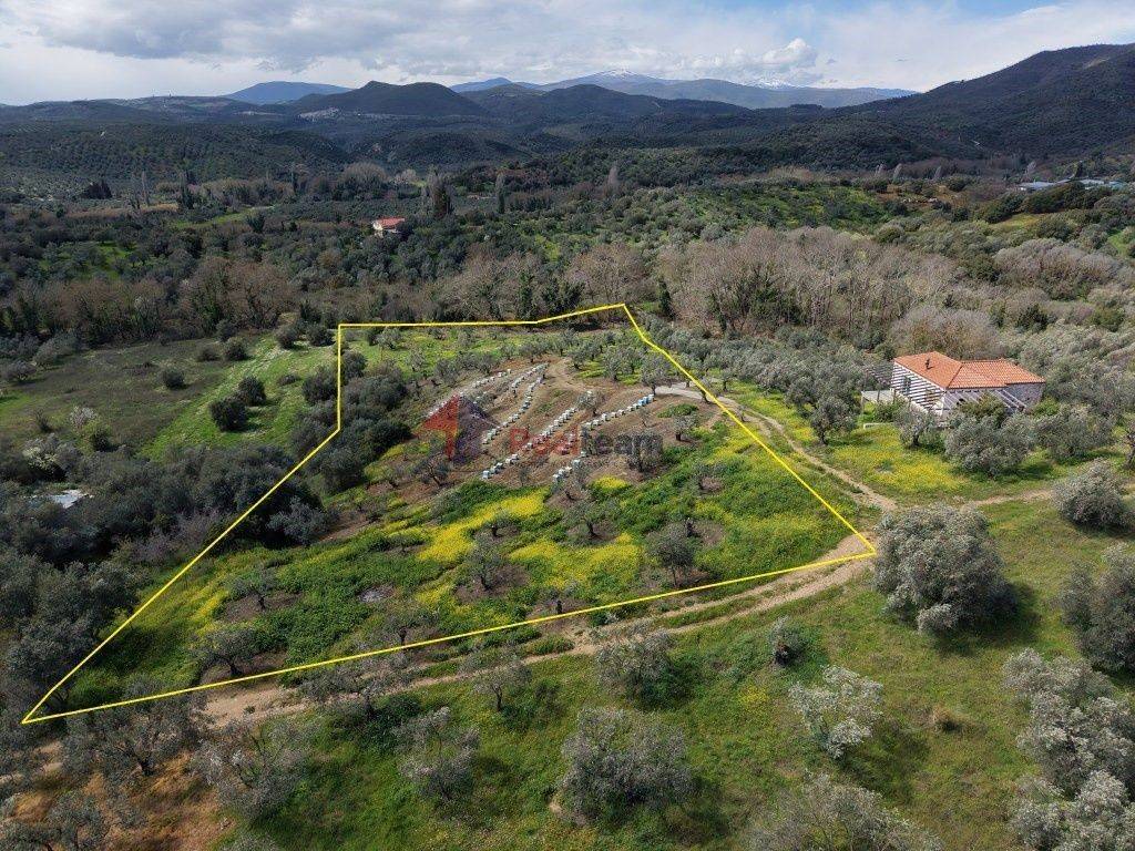 Εξωτερικοι χώροι