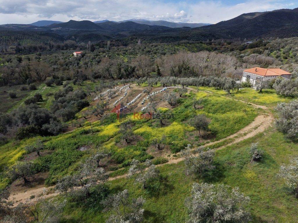 Εξωτερικοι χώροι