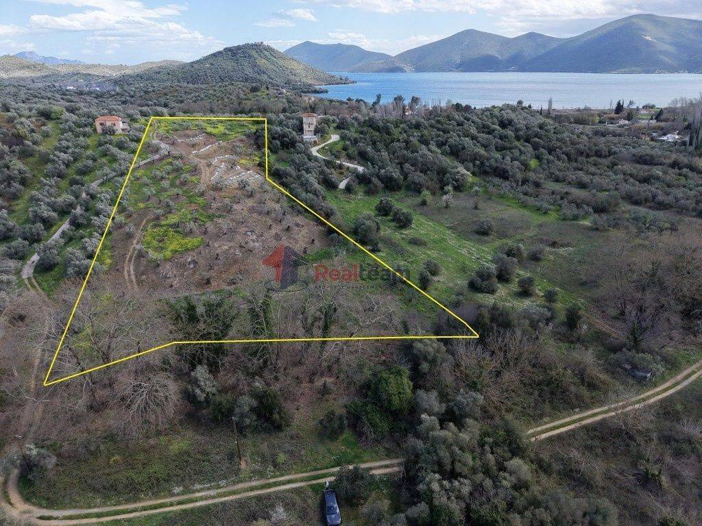 Εξωτερικοι χώροι