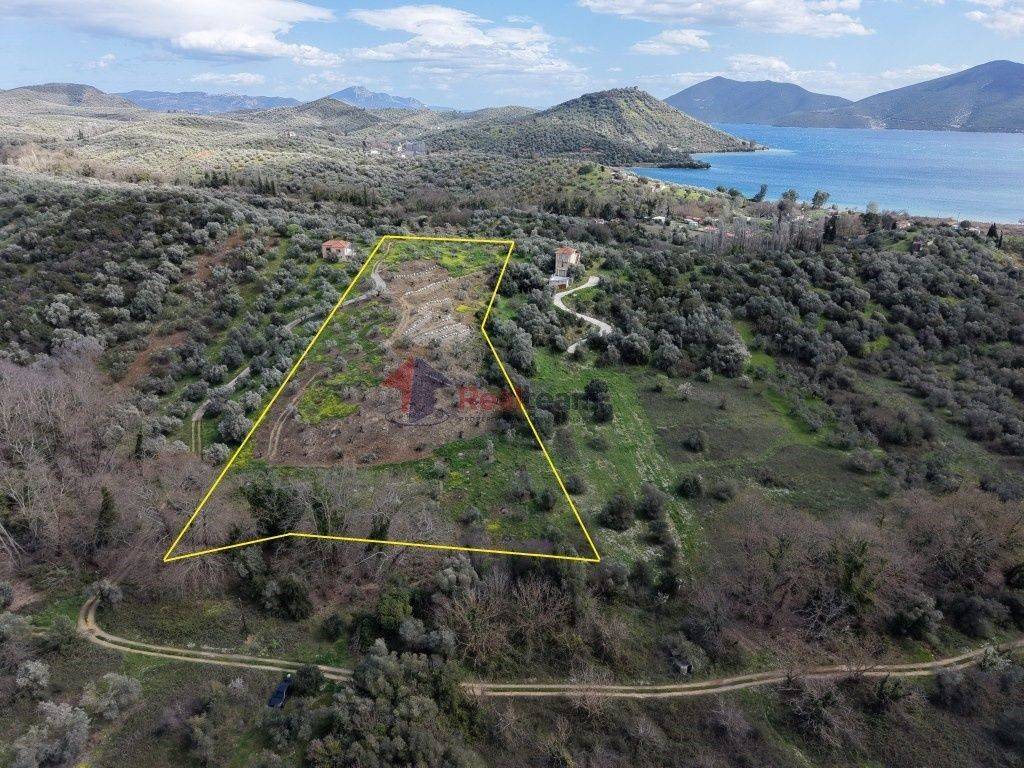 Εξωτερικοι χώροι