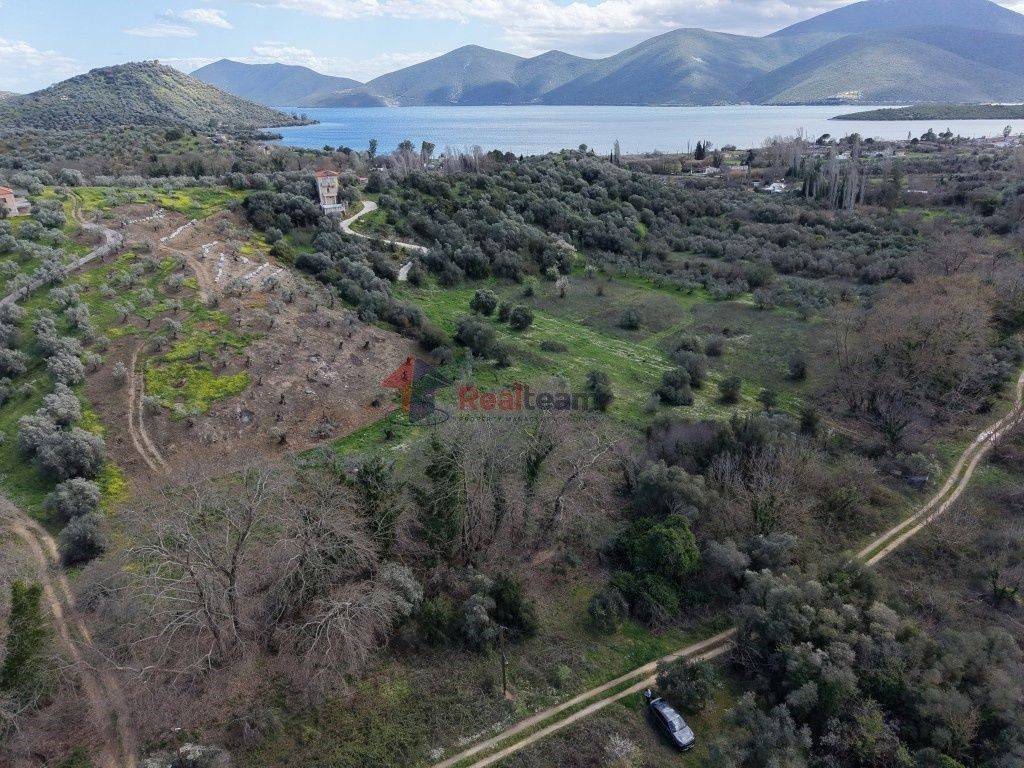 Εξωτερικοι χώροι