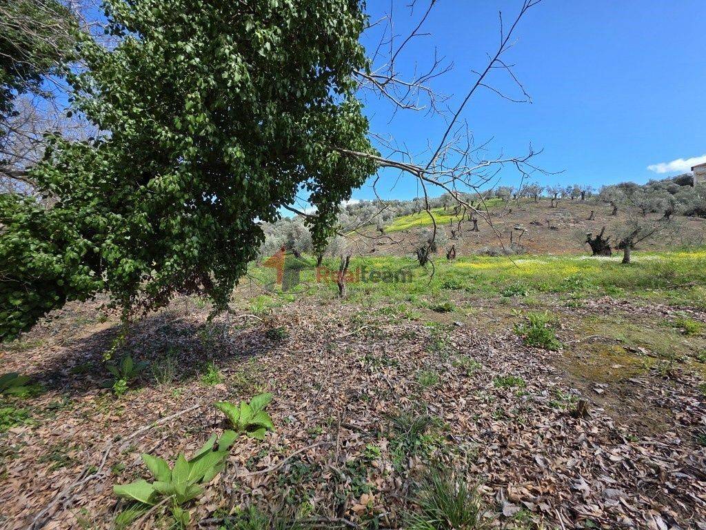 Εξωτερικοι χώροι