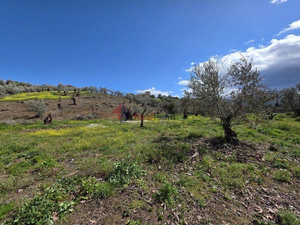 Εξωτερικοι χώροι