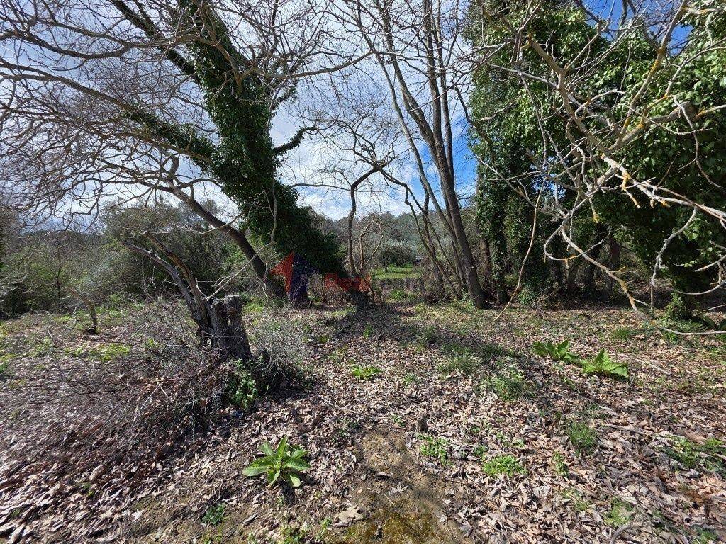 Εξωτερικοι χώροι