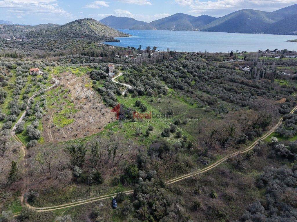 Εξωτερικοι χώροι