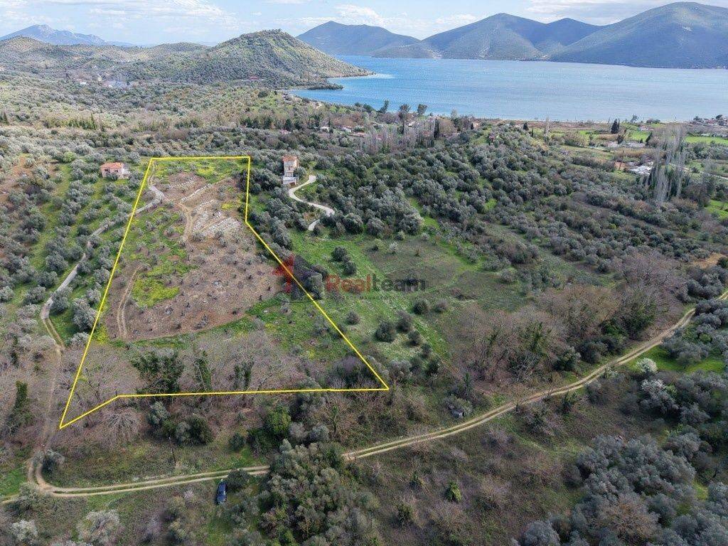 Εξωτερικοι χώροι