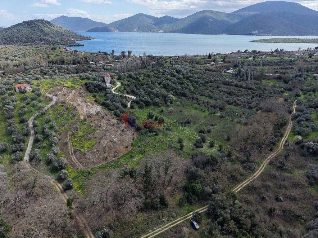 Εξωτερικοι χώροι