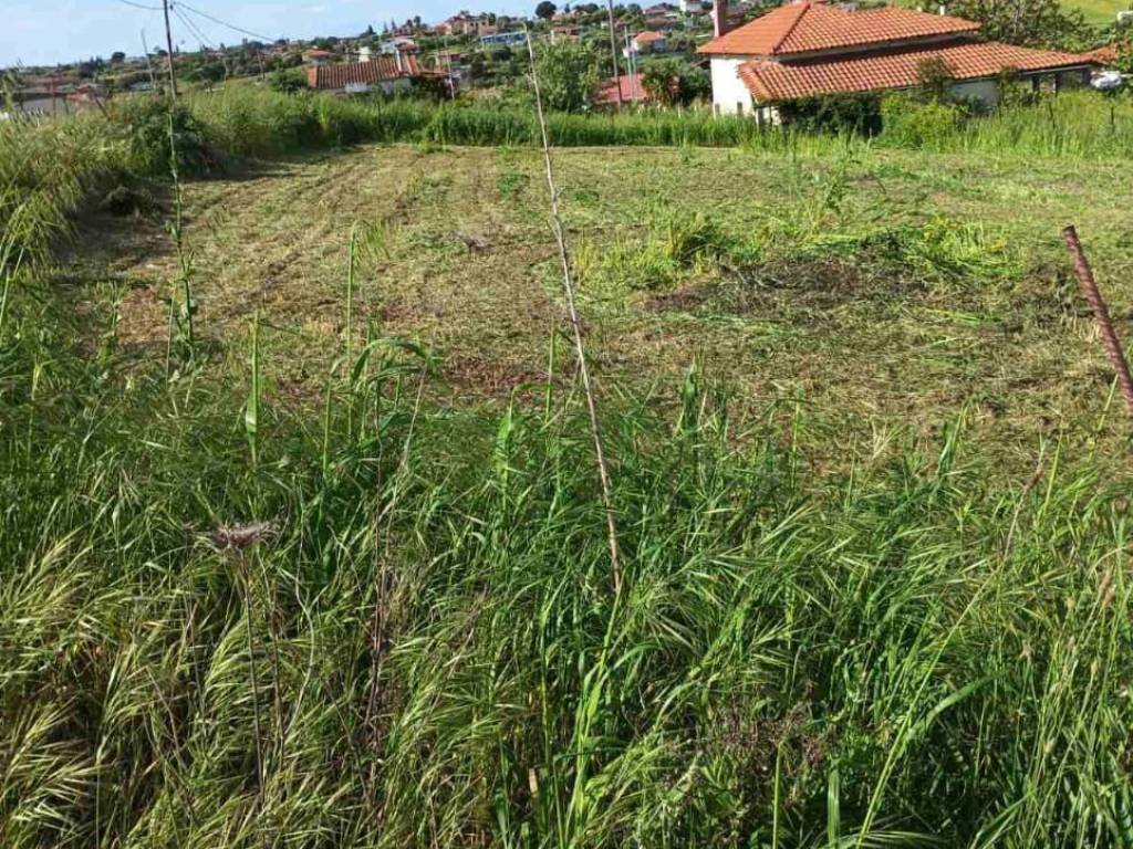 Εξωτερικοι χώροι