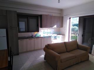 Σαλοκουζίνα