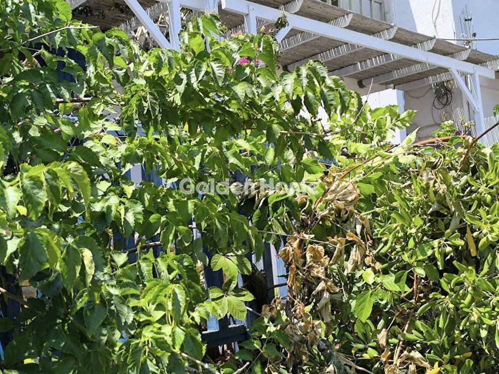 Εξωτερικός Χώρος