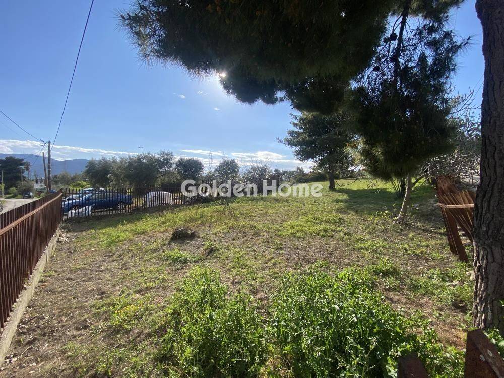 Κυρίως Χώρος