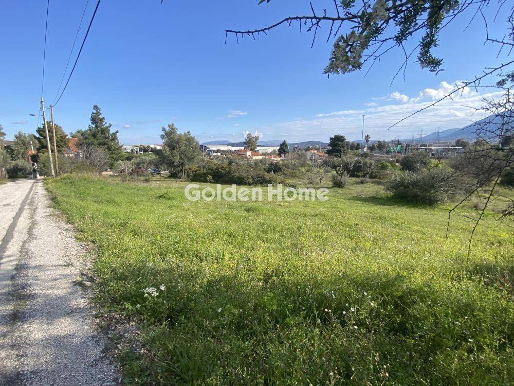 Κυρίως Χώρος