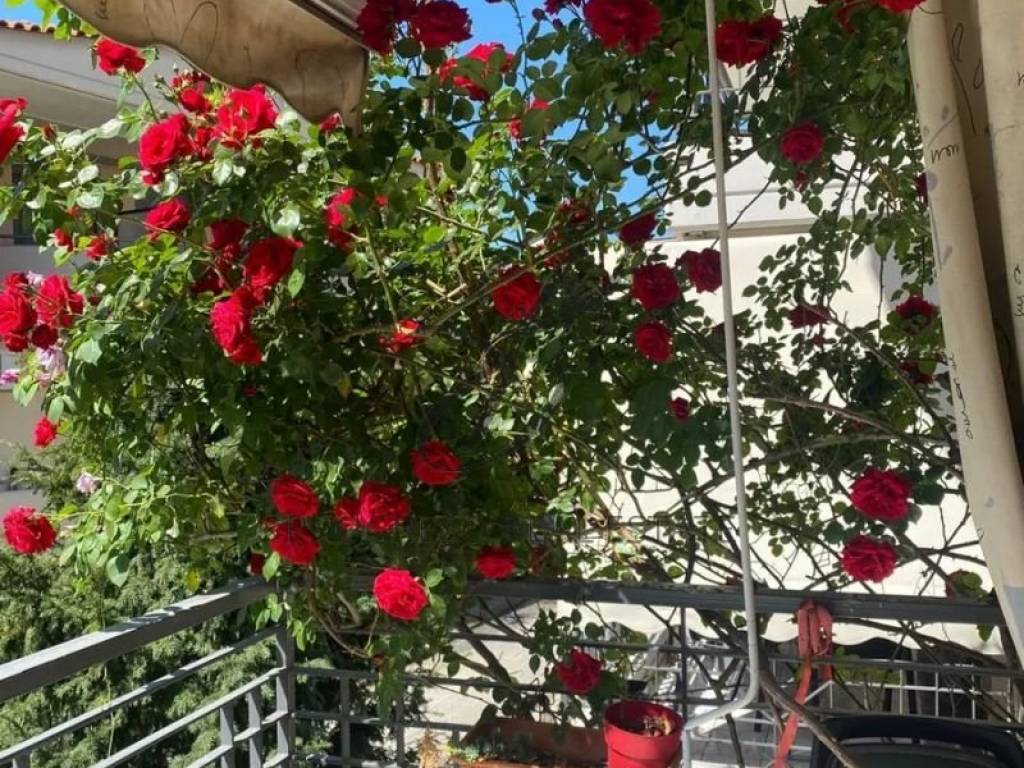 Θέα από μπαλκόνι