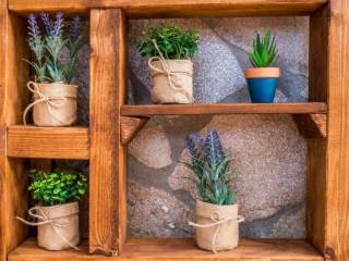 Ύπαρξη ανθρώπου