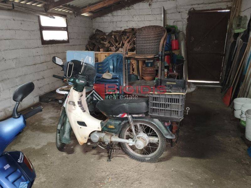 Ύπαρξη ανθρώπου