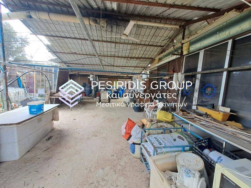 Ύπαρξη ανθρώπου