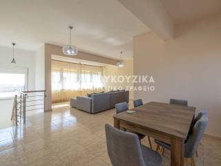 Σαλοκουζίνα