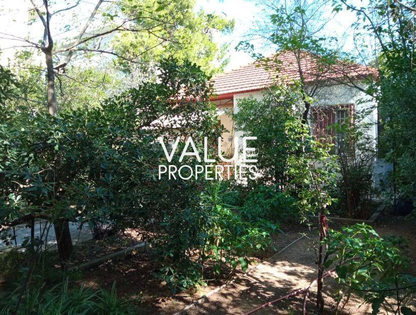 Εξωτερικοι χώροι