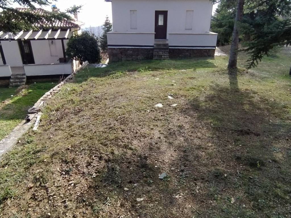 ANYPLACE MESITIKES YPERESIES