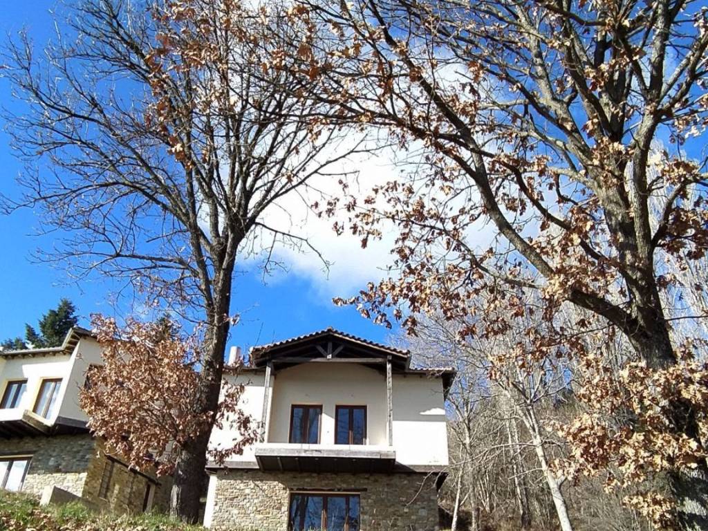 ANYPLACE MESITIKES YPERESIES