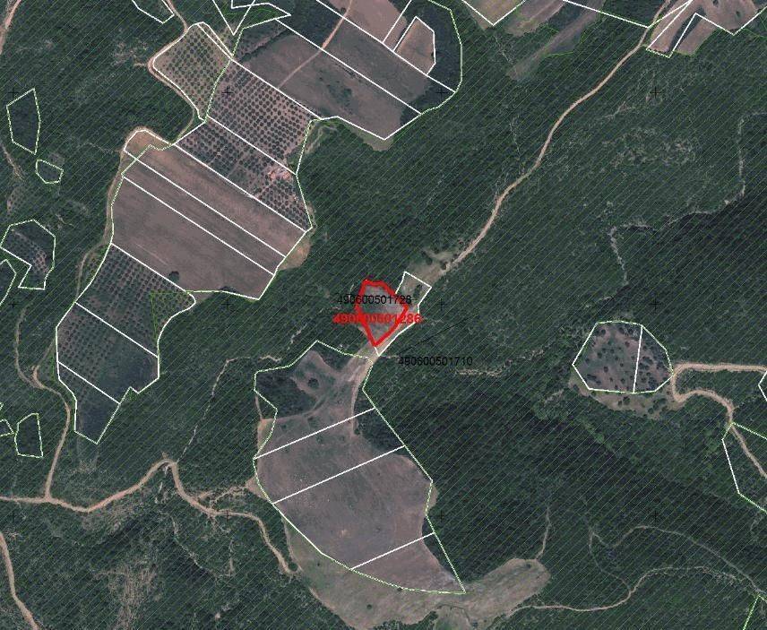 ANYPLACE ΜΕΙΤΙΚΕΣ ΥΠΗΡΕΣΙΕΣ