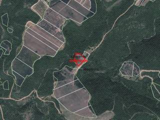 ANYPLACE ΜΕΙΤΙΚΕΣ ΥΠΗΡΕΣΙΕΣ