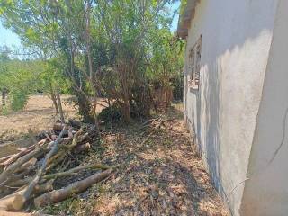 Detached - Grekodom 61723|934061