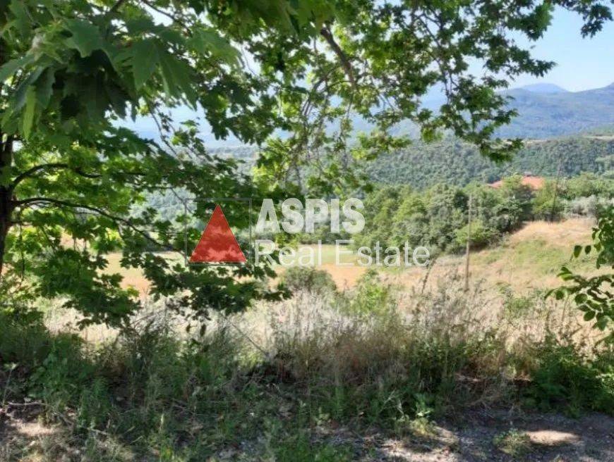 Εξωτερικοι χώροι