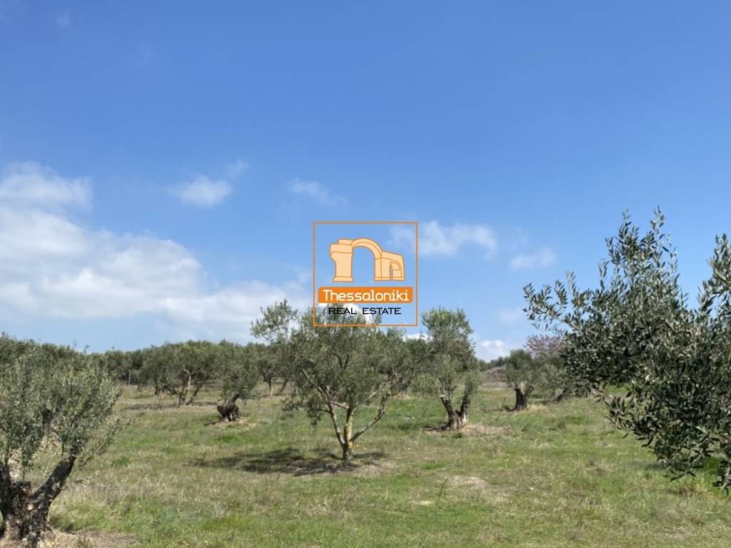 Μεσημέρι, Οικόπεδο, 2.500 τ.μ.