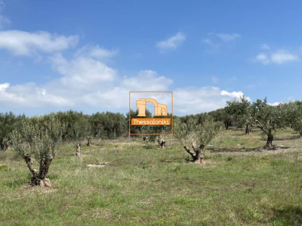 Μεσημέρι, Οικόπεδο, 2.500 τ.μ.