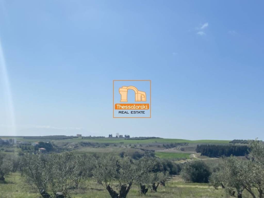 Μεσημέρι, Οικόπεδο, 2.500 τ.μ.