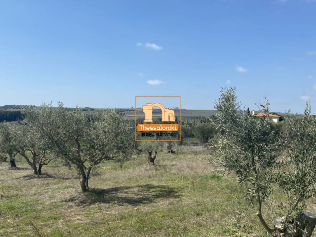 Μεσημέρι, Οικόπεδο, 2.500 τ.μ.