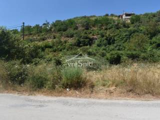 ΑΠΟΨΗ ΟΙΚΟΠΕΔΟΥ