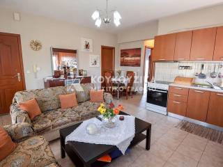 Σαλοκουζίνα