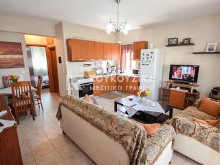 Σαλοκουζίνα