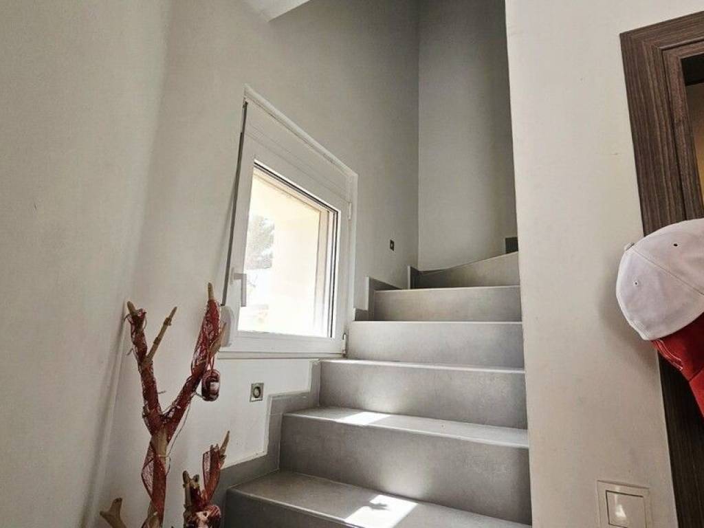 Maisonette - Grekodom 65828|1058053