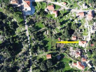 Aerial view and location of the plot