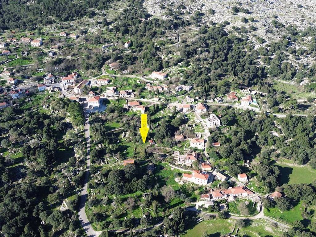 Aerial view and location of the plot