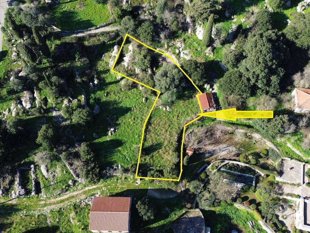 Aerial view with border outlined