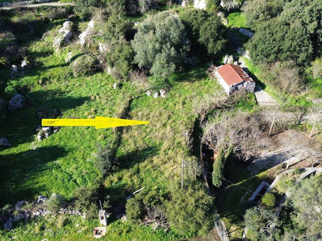 Aerial view of the land