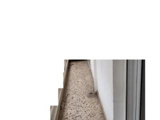 TELEPHONO EPIKOINONIAS : 2310765495 // 6981242542  KARAOYLANE